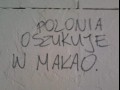 Prawda o polonii