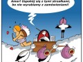 Bociany i amorek