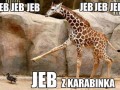 Jeb z karabinka
