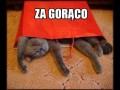 Za gorąco 1