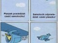 Krótka historia