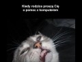 Rodzice proszą o pomoc