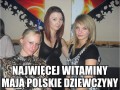 Fajne sunie