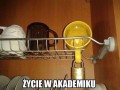 Akademiki