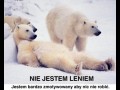 Nie jestem leniem