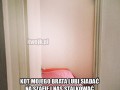 Kot cię obserwuje