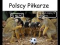 Polscy piłkarze