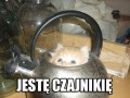 Jestę czajnikię