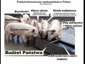 Budżet państwa