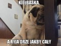 Tylko kiełbaska
