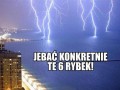 6 Rybek