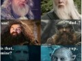 Hp amp lotr