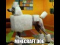 Minecraft dog