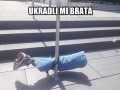 Ukradli mi brata