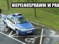 Niepełnosprawni w pracy