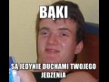 Bąki