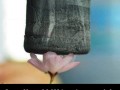 Aerogel