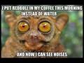 Kawa  redbull  synestezja