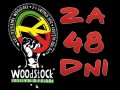 Już niedługo woodstock