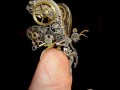 Steampunk fairy
