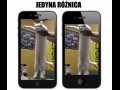 Jedyna różnica