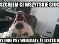 Niech wiedzą