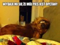 Ma ktoś numer do egzorcysty