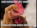 Nawet kura katarzyna tobą gardzi