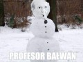 Profesor bałwan