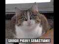 Oj srogie
