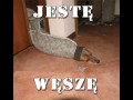 Węszę