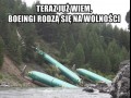 Dzikie zwierzęta