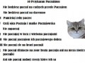 Paczaizm 1