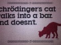 Schrodinger cat