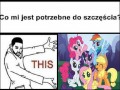 Kuce