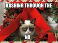 Dashing through the