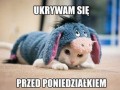 Dobre przebranie