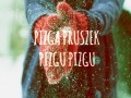 Pizga pruszek