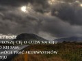 Po ryju