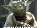 Jarzębina  yoda