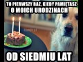 Biedny piesek