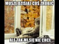Ale co