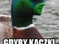 Ciesz się że nie mają