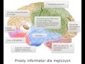 Mózg kobiety