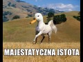 Istota