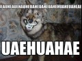 Hueheuehue