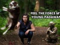 The force is strong with you