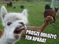 Tu nie ma nic do filmowania