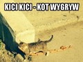 Kto wygryw