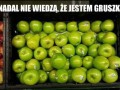 Nadal nie wiedzą